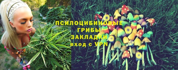 кокаин колумбия Алексин