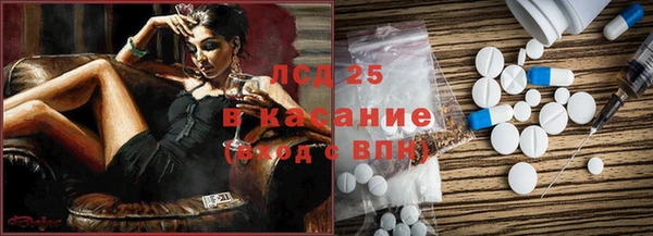 прущие грибы Алексеевка