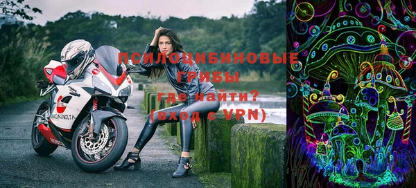 прущие грибы Алексеевка