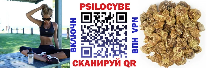Псилоцибиновые грибы Cubensis  Фролово 